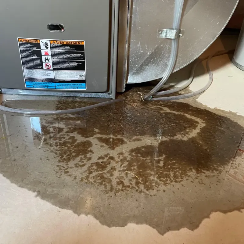 Appliance Leak Cleanup in Nebraska City, NE